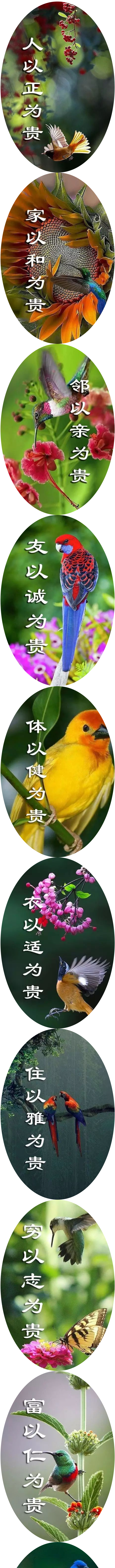 国产欧美日韩综合精品一区二区