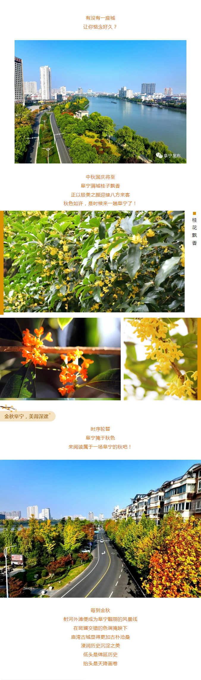 国产欧美日韩综合精品一区二区